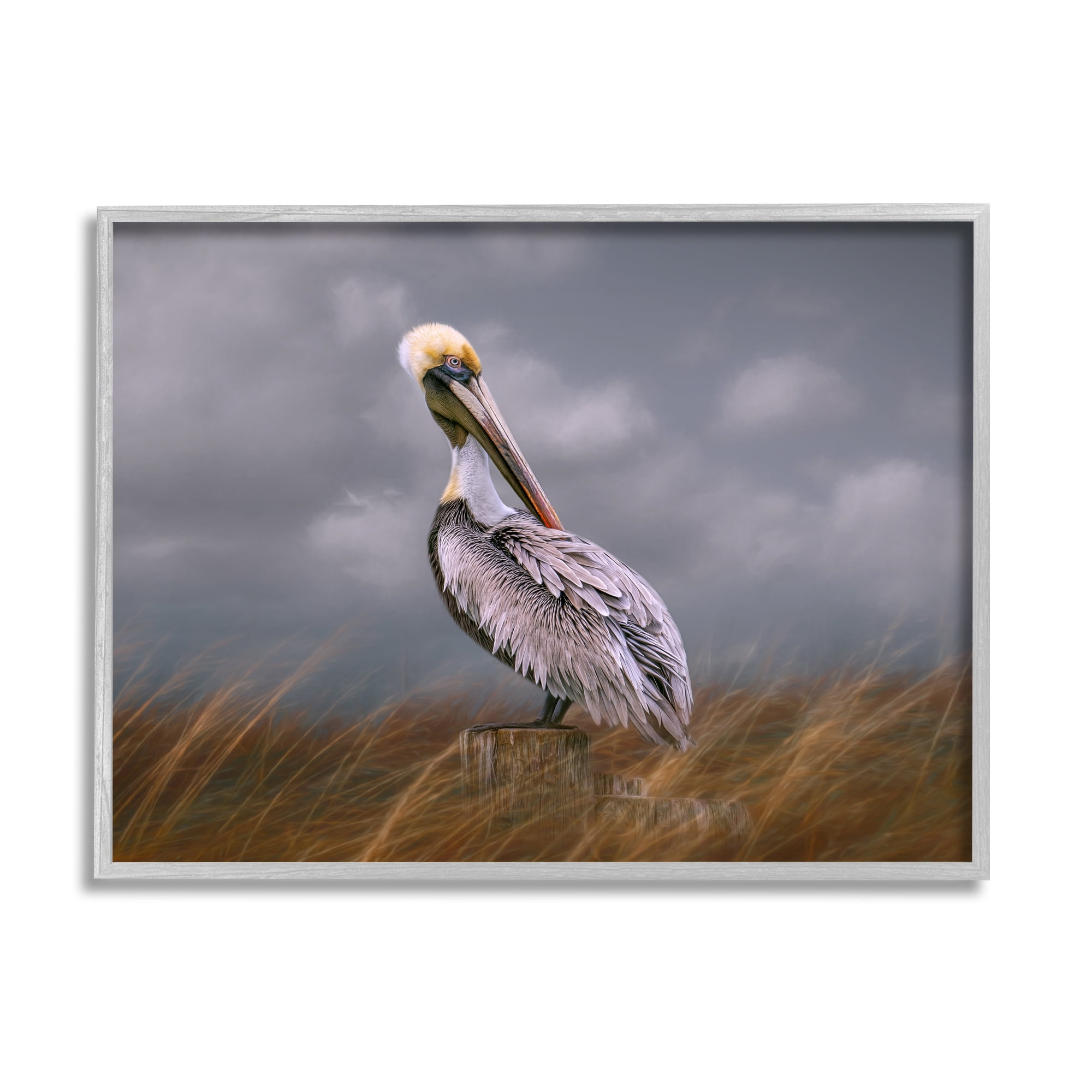 Stupell Wildlife Pelican Bird Cloudy Sky Animals & Insects Photography Gray Framed Art Print Wall Art