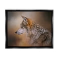 thumbnail image 1 of Stupell Wildlife Wolf Portrait Photography Animals & Insects Photography Black Floater Framed Art Print Wall Art, 1 of 6