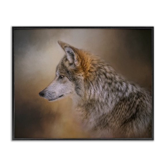 Stupell Industries Traditional Wildlife Wolf Portrait Photography Black Framed Giclee Art, 30 x 24, by Kelley Parker