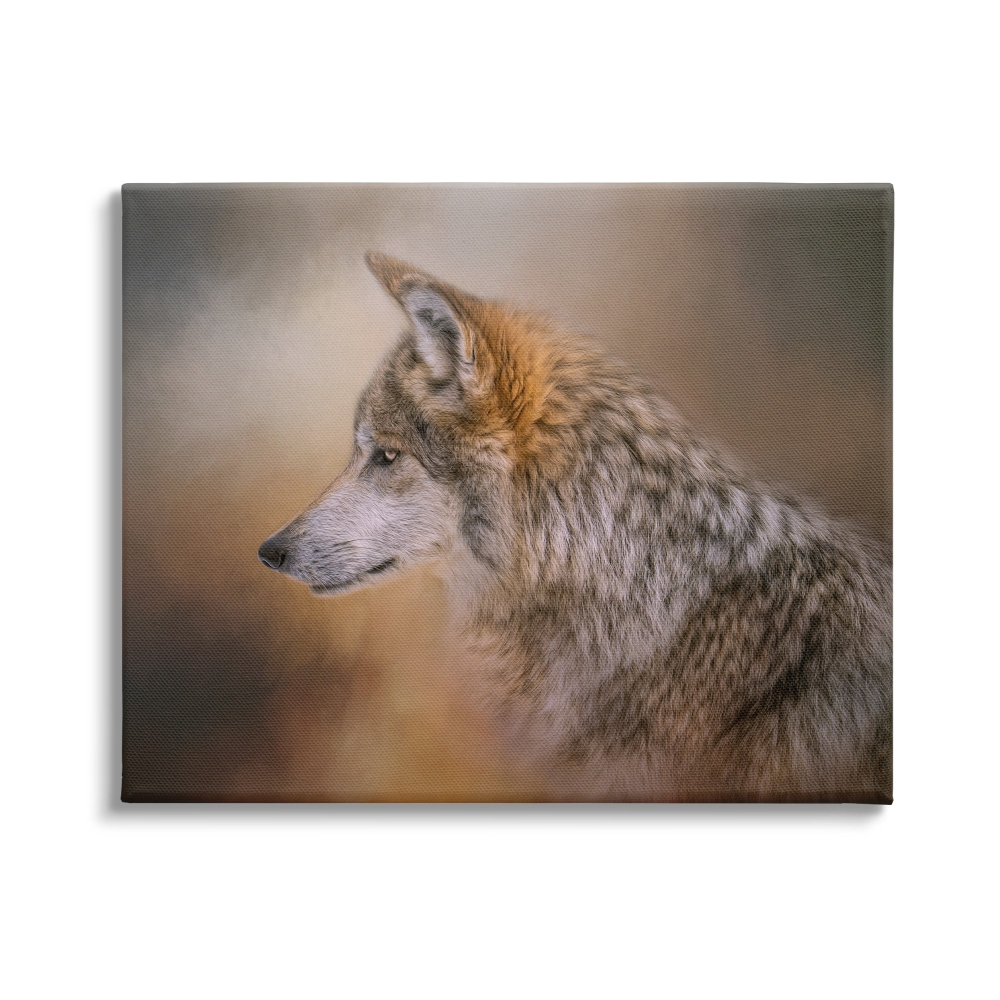 Stupell Wildlife Wolf Portrait Photography Animals & Insects Photography Gallery Wrapped Canvas Print Wall Art