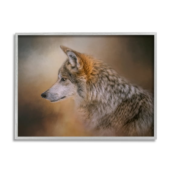 Stupell Wildlife Wolf Portrait Photography Animals & Insects Photography Gray Framed Art Print Wall Art