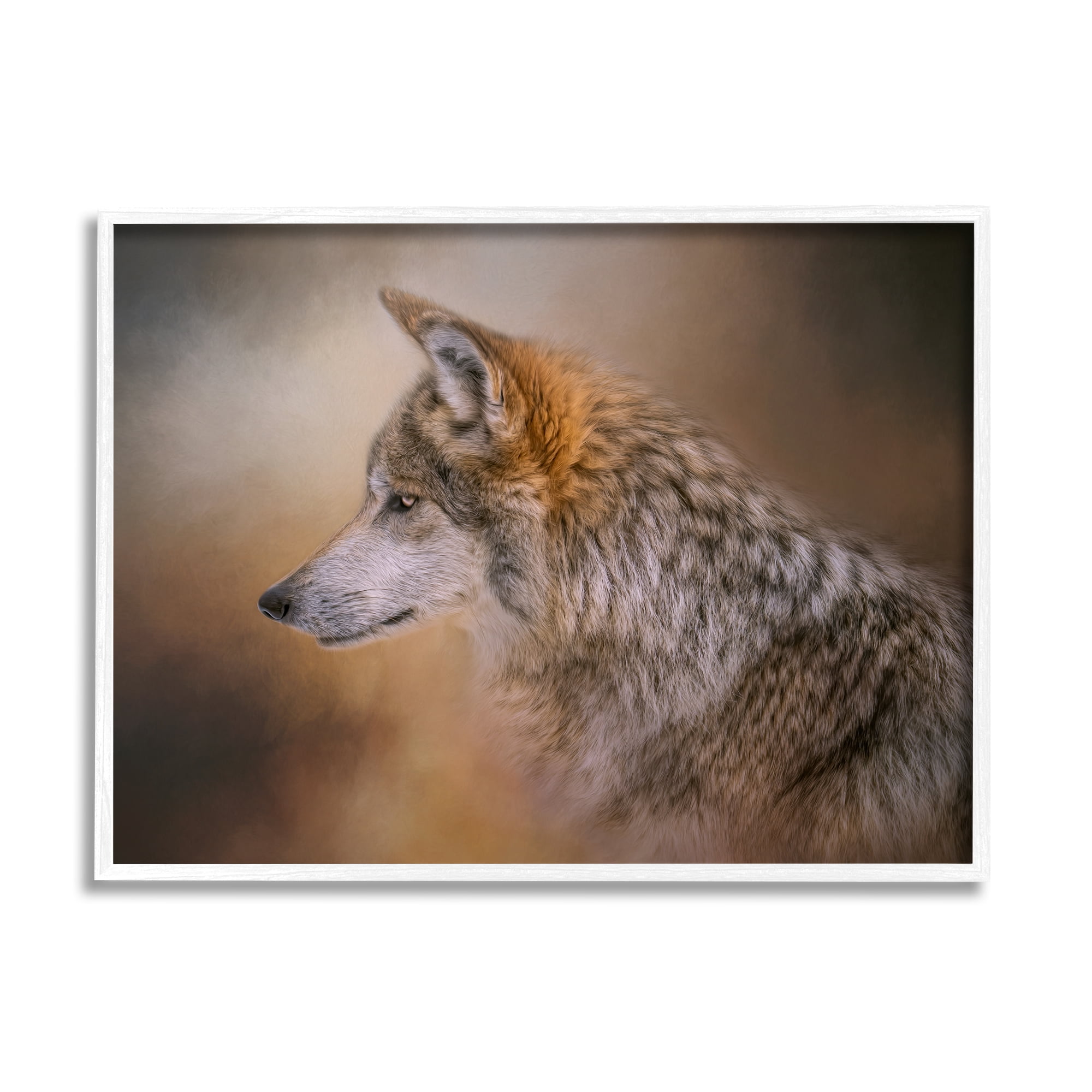 Stupell Wildlife Wolf Portrait Photography Animals & Insects Photography White Framed Art Print Wall Art