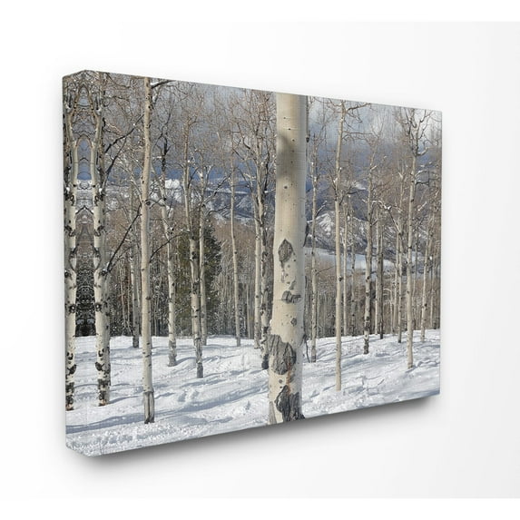 Stupell Winter Birches Photography Stretched Canvas Wall Art 30 x 40