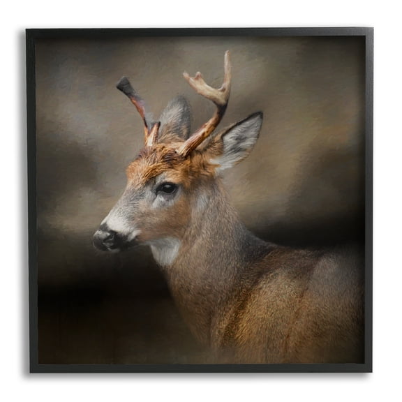 Stupell Woodland Deer Nature Photography Animals & Insects Photography Black Framed Art Print Wall Art