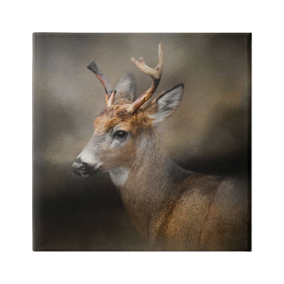 Stupell Woodland Deer Nature Photography Animals & Insects Photography Gallery Wrapped Canvas Print Wall Art