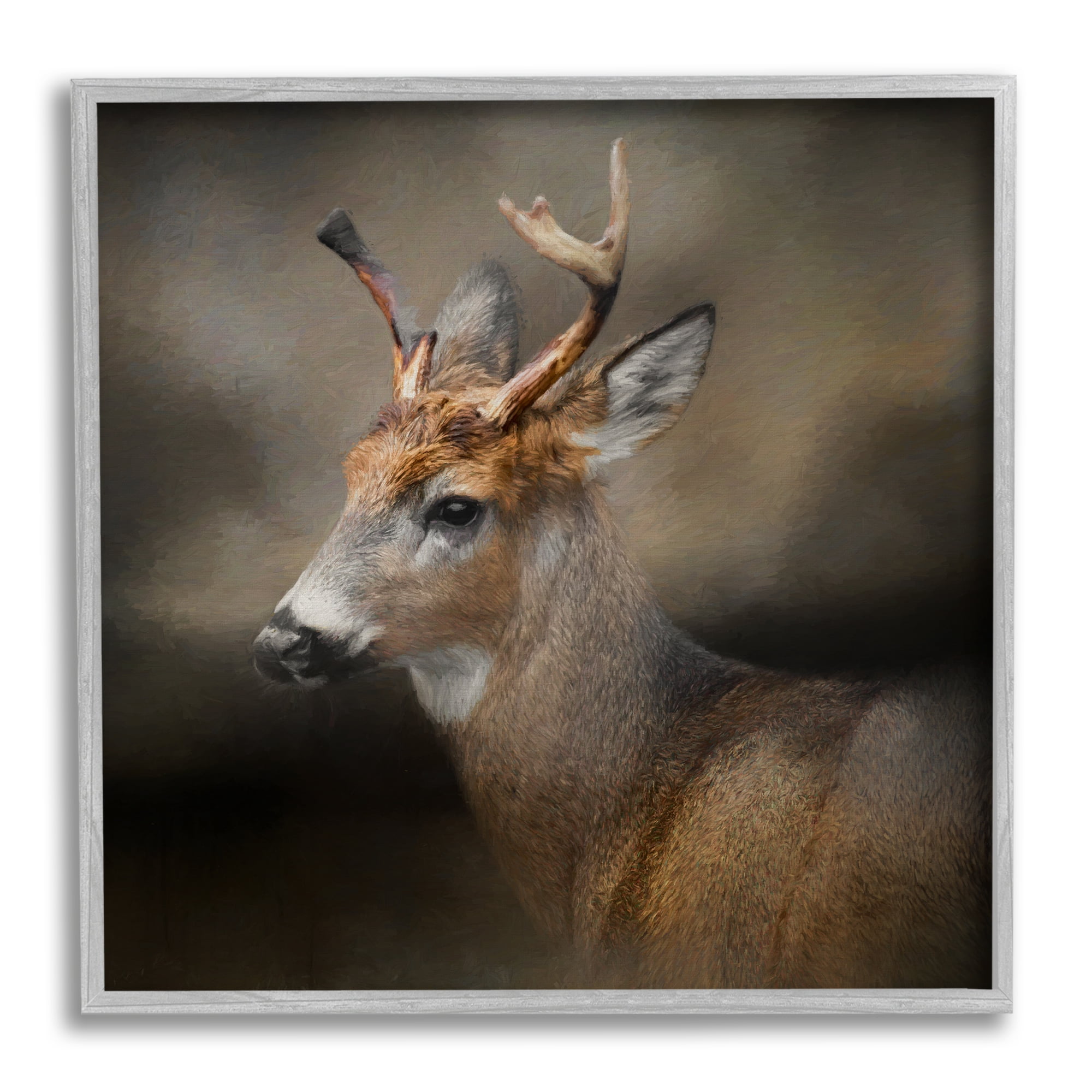 Stupell Woodland Deer Nature Photography Animals & Insects Photography Gray Framed Art Print Wall Art