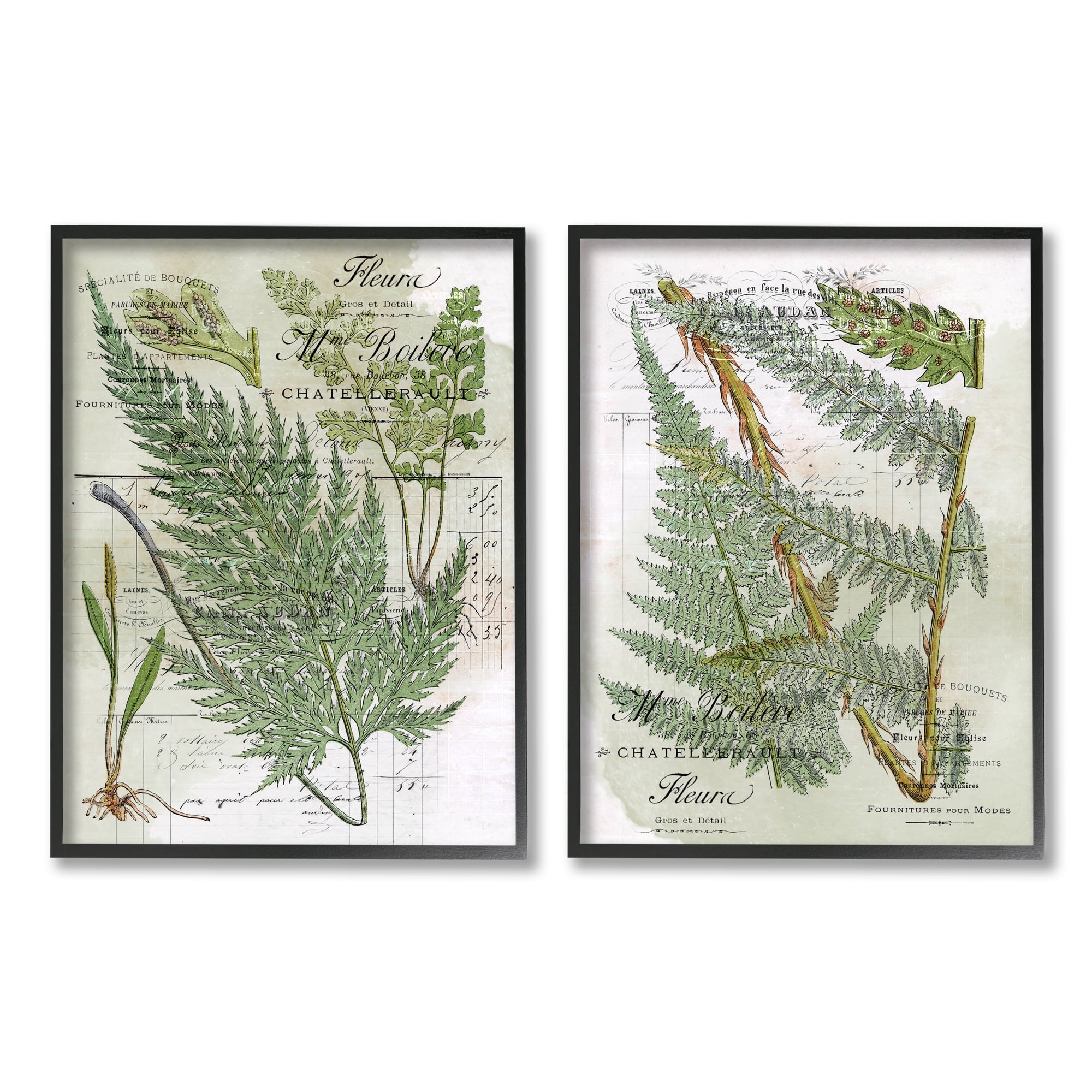 Ebony Wood Framed Botanical Fern Art Set, 11" x 14"