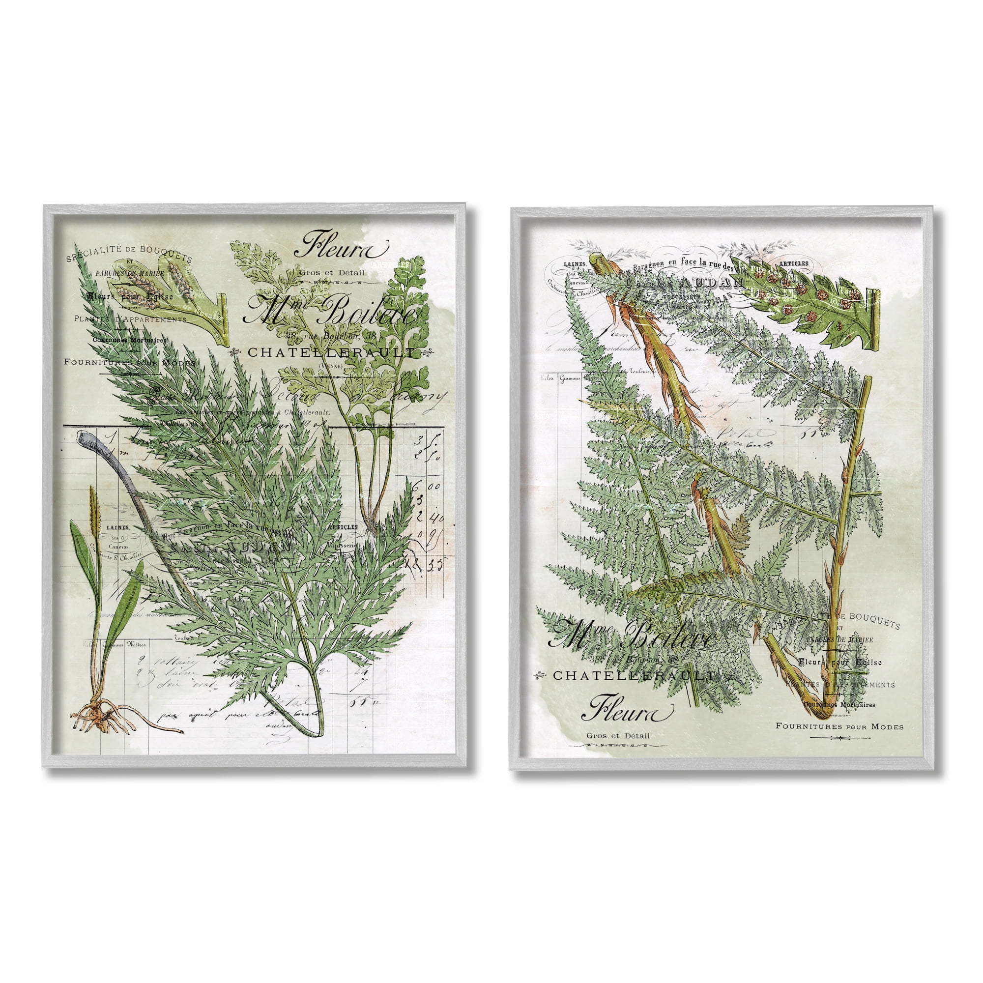 Stupell Woodland Fern Botanical Latin Study Botanical & Floral Painting Gray Framed Art Print Wall Art, Set of 2
