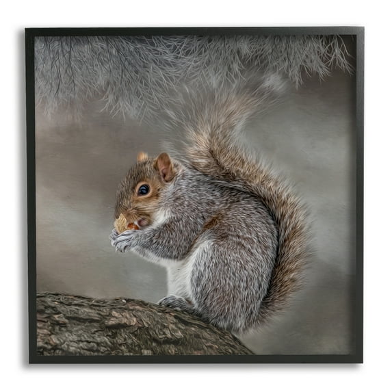 Stupell Woodland Wildlife Squirrel Photography Animals & Insects Photography Black Framed Art Print Wall Art