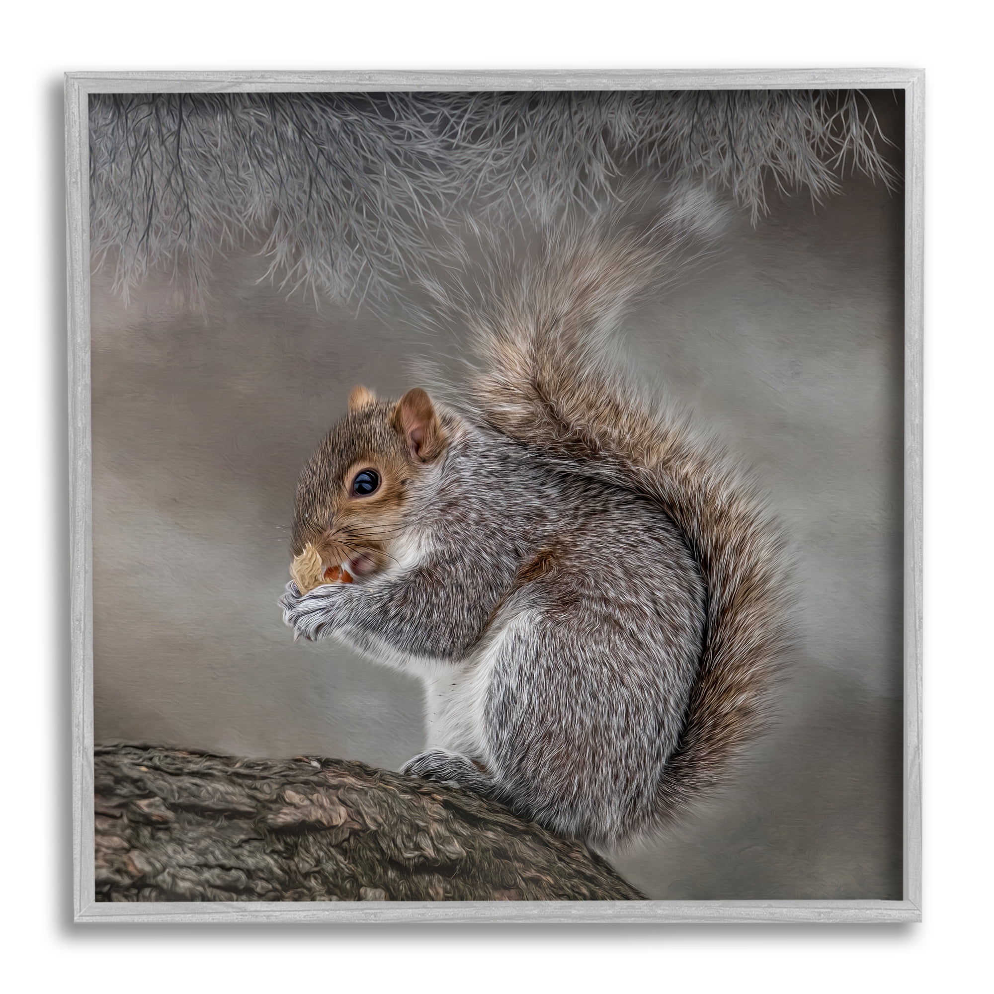 Stupell Woodland Wildlife Squirrel Photography Animals & Insects Photography Gray Framed Art Print Wall Art