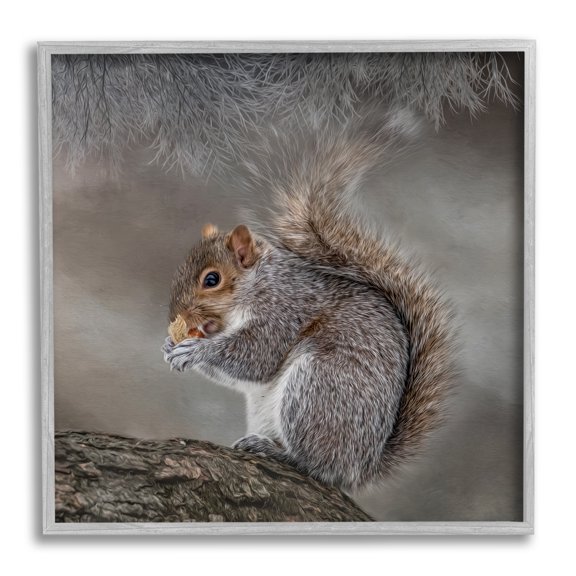 Stupell Woodland Wildlife Squirrel Photography Animals & Insects Photography Gray Framed Art Print Wall Art