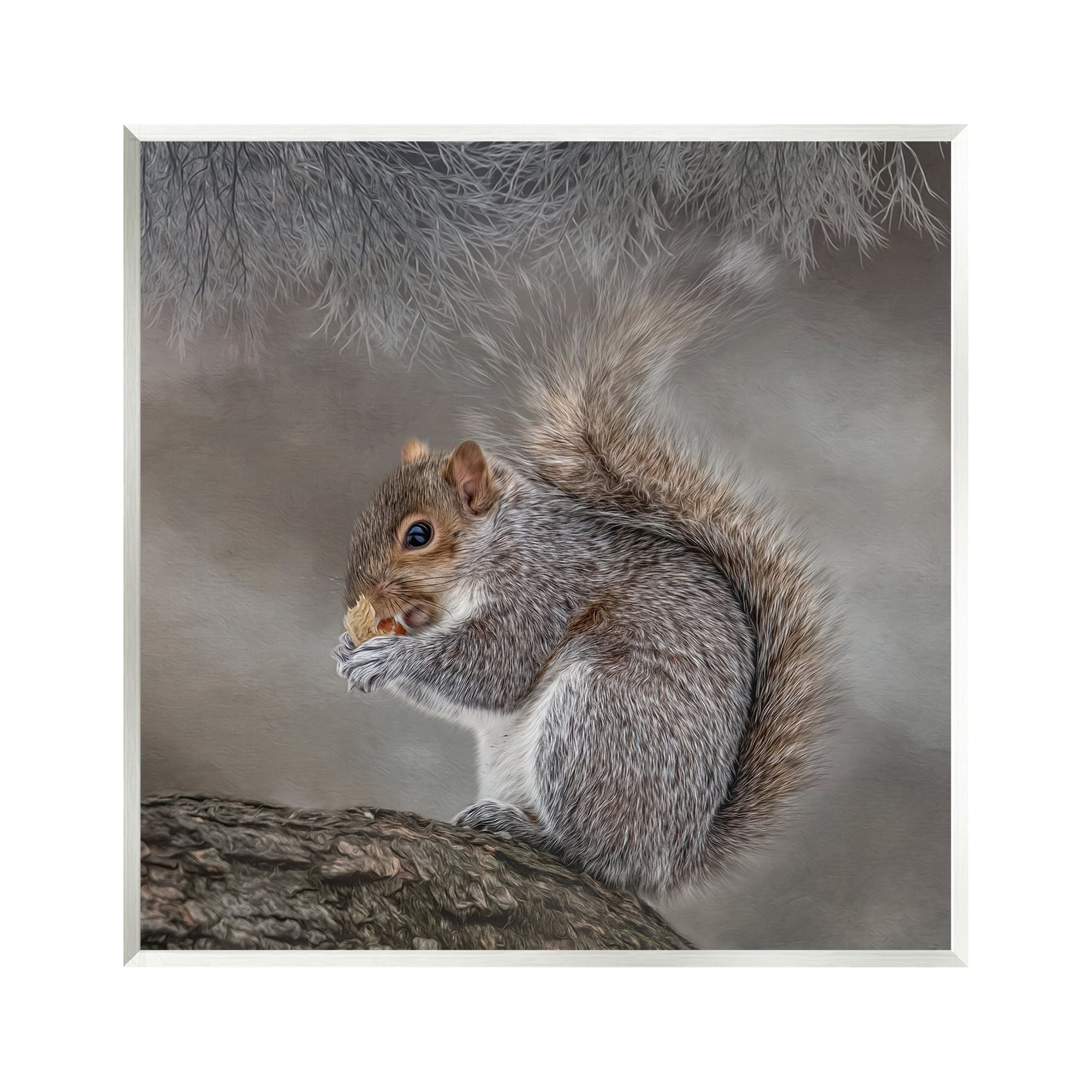 Stupell Woodland Wildlife Squirrel Photography Animals & Insects Photography Wall Plaque Unframed Art Print Wall Art