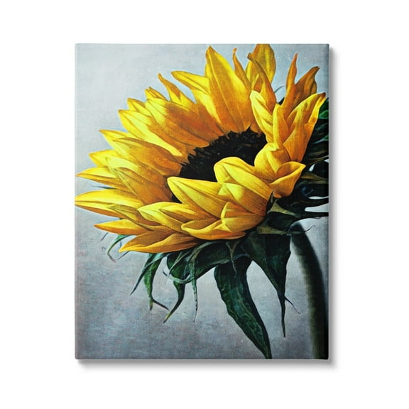 Stupell Yellow Sunflower Blossom Close Up Botanical & Floral Painting Gallery Wrapped Canvas Print Wall Art