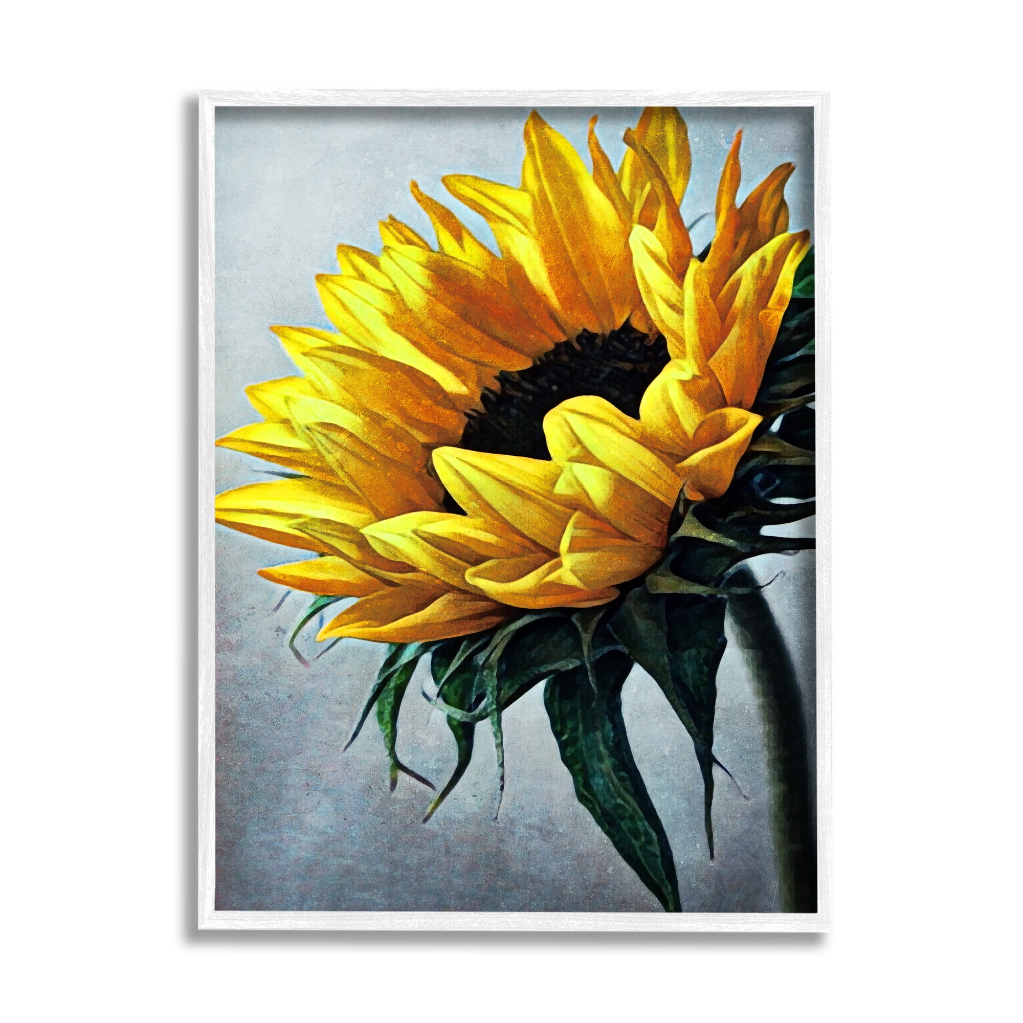 Stupell Yellow Sunflower Blossom Close Up Botanical & Floral Painting White Framed Art Print Wall Art