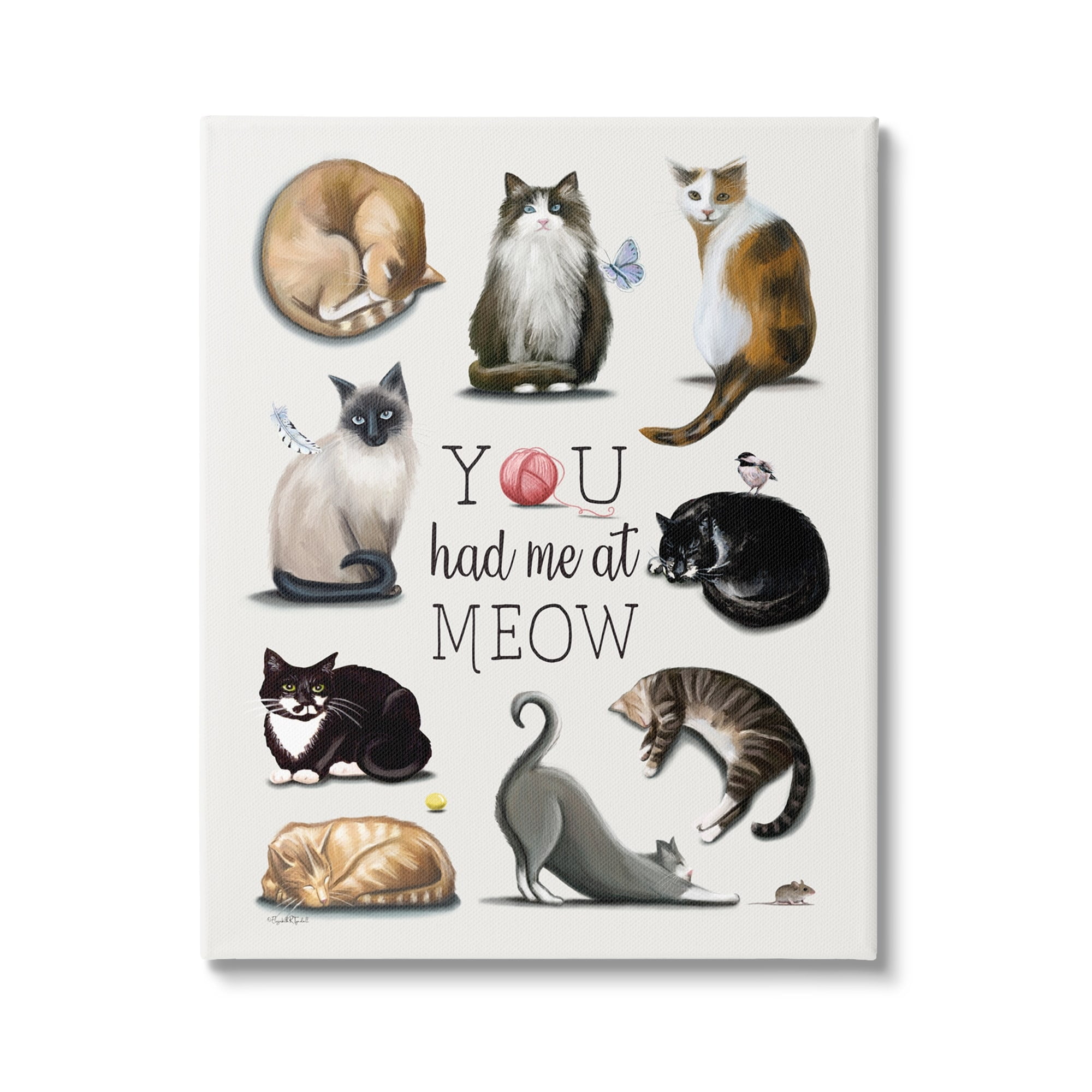 Stupell You Had Me At Meow Cat Pet Animals & Insects Painting Gallery Wrapped Canvas Print Wall Art