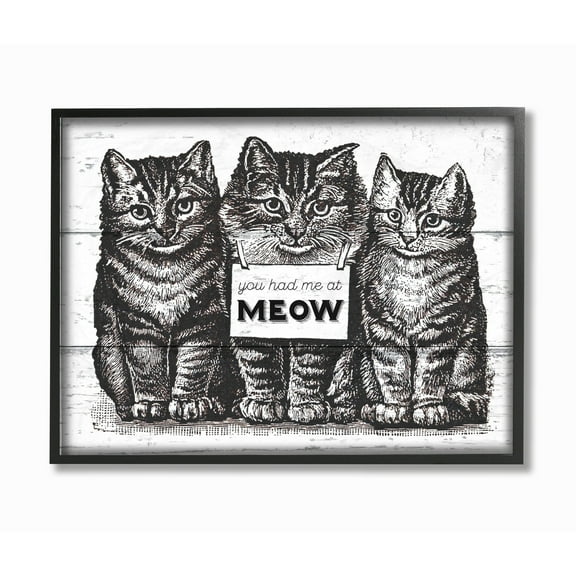 Stupell You Had Me at Meow Cats Framed Giclee Texture Art 16 x 20