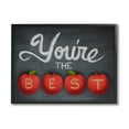 thumbnail image 1 of Stupell You're The Best Teacher Apples Food & Beverage Painting Black Framed Art Print Wall Art, 1 of 7