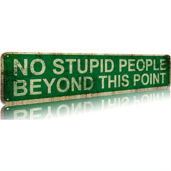 No Stupid People Beyond This Point" Vintage Metal Sign - Funny, Rustic Wall Art Decor for Home, Farmhouse, Bedroom, for Man Cave - 16x4 Tinplate Street Sign, Perfect Gift Idea, Metal Wall Art Decor