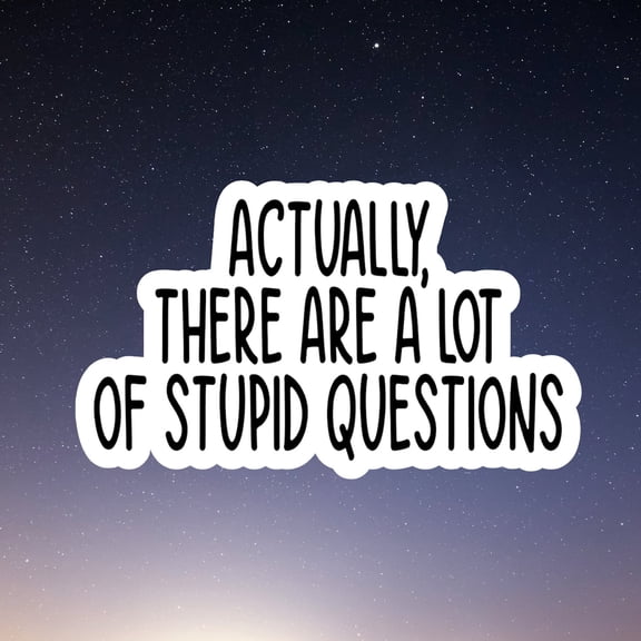 Stupid Questions Sticker