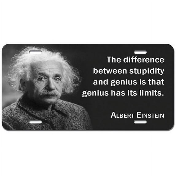 Stupidity Genius Has Limits Einstein - Funny Novelty Metal Vanity License Tag Plate