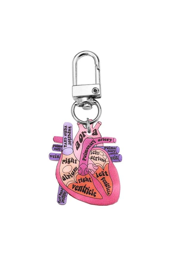 Sturdy Acrylic Heart Schematic Keychain Unique Human Heart Keychain Gift for Scientists and Those Interested in Biology