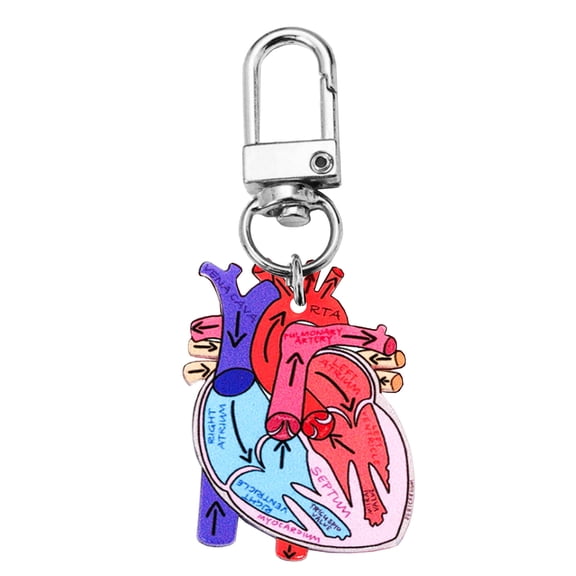 Sturdy Acrylic Heart Schematic Keychain Unique Human Heart Keychain Gift for Scientists and Those Interested in Biology