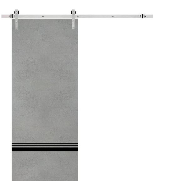 Sturdy Barn Door 18 x 80 inches | Planum 0012 Concrete with Frosted Glass | Stainless Steel 6.6FT Rail Hangers Heavy Set | Solid Panel Interior Doors