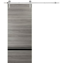 Sturdy Barn Door 18 x 80 inches | Planum 0012 Grey Matte with Frosted Glass | Stainless Steel 6.6FT Rail Hangers Heavy Set | Solid Panel Interior Doors