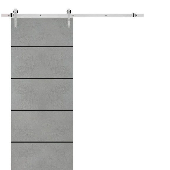 Sturdy Barn Door 18 x 80 inches | Planum 0015 Concrete with Frosted Glass | Stainless Steel 6.6FT Rail Hangers Heavy Set | Solid Panel Interior Doors