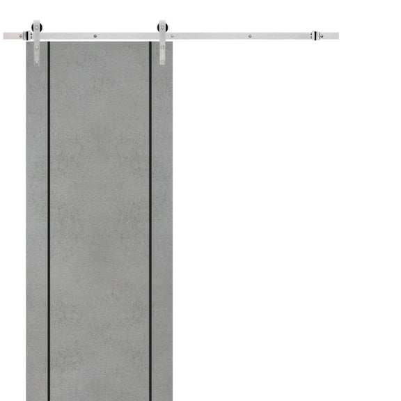 Sturdy Barn Door 18 x 80 inches | Planum 0016 Concrete with Frosted Glass | Stainless Steel 6.6FT Rail Hangers Heavy Set | Solid Panel Interior Doors