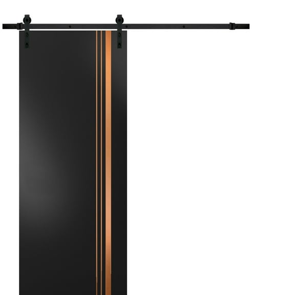 Sturdy Barn Door 18 x 80 inches | Planum 1010 Matte Black with Frosted Glass | 6.6FT Rail Hangers Heavy Hardware Set | Solid Panel Interior Doors