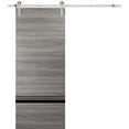 thumbnail image 1 of Sturdy Barn Door 18 x 84 inches | Planum 0012 Grey Matte with Frosted Glass | Stainless Steel 6.6FT Rail Hangers Heavy Set | Solid Panel Interior Doors, 1 of 6