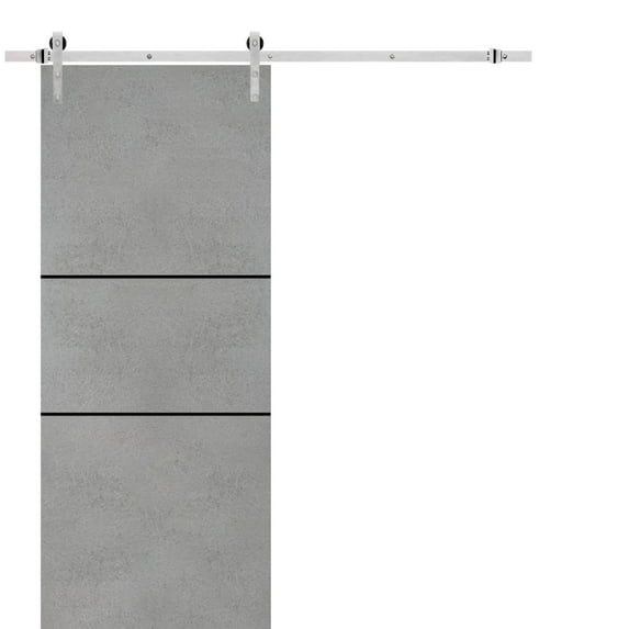 Sturdy Barn Door 18 x 84 inches | Planum 0014 Concrete with Frosted Glass | Stainless Steel 6.6FT Rail Hangers Heavy Set | Solid Panel Interior Doors