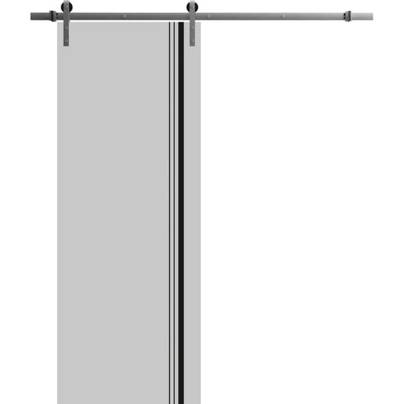 Sturdy Barn Door 18 x 96 inches | Planum 0011 Grey Matte with Frosted Glass | Stainless Steel 6.6FT Rail Hangers Heavy Set | Solid Panel Interior Doors