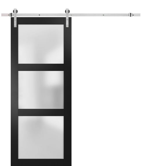 Sturdy Barn Door 24 x 80 inches Frosted Glass | Lucia 2552 Matte Black | Top Mount Stainless Steel 6.6FT Rail Hangers Heavy Set | Solid Panel Interior Doors