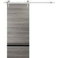 thumbnail image 1 of Sturdy Barn Door 24 x 84 inches | Planum 0012 Grey Matte with Frosted Glass | Stainless Steel 6.6FT Rail Hangers Heavy Set | Solid Panel Interior Doors, 1 of 6