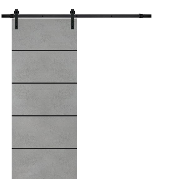 Sturdy Barn Door 24 x 96 inches | Planum 0015 Concrete with Frosted Glass | 6.6FT Rail Hangers Heavy Hardware Set | Solid Panel Interior Doors