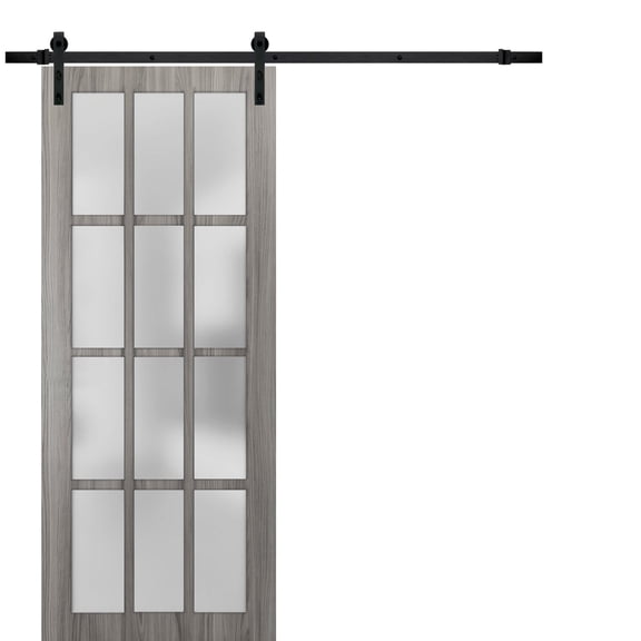 Sturdy Barn Door 30 x 80 inches Frosted Glass 12 Lites