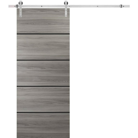 Sturdy Barn Door 30 x 80 inches | Planum 0015 Ginger Ash with Frosted Glass | Stainless Steel 6.6FT Rail Hangers Heavy Set | Solid Panel Interior Doors