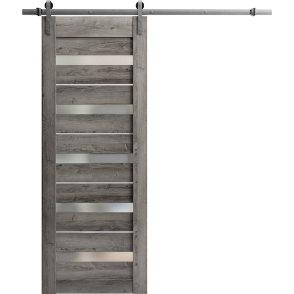 Sturdy Barn Door 30 x 84 inches | Quadro 4445 Nebraska Grey with Frosted Glass | Stainless Steel 6.6FT Rail Hangers Heavy Set | Solid Panel Interior Doors