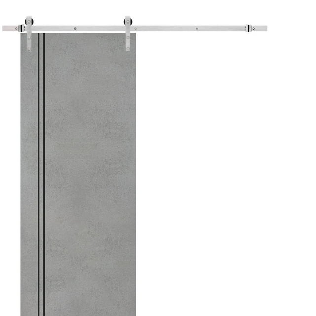 Sturdy Barn Door 32 X 80 Inches Planum 0016 Concrete With Frosted Glass Stainless Steel 6 9866