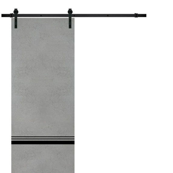 Sturdy Barn Door 36 x 84 inches | Planum 0012 Concrete with Frosted Glass | 6.6FT Rail Hangers Heavy Hardware Set | Solid Panel Interior Doors
