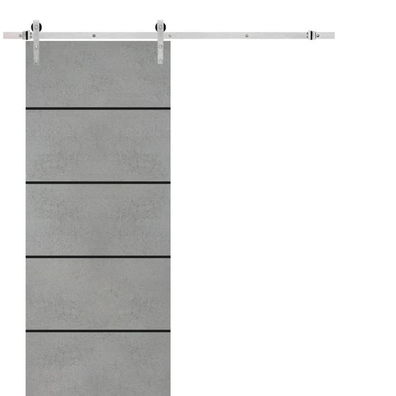 Sturdy Barn Door 36 x 84 inches | Planum 0015 Concrete with Frosted Glass | Stainless Steel 6.6FT Rail Hangers Heavy Set | Solid Panel Interior Doors