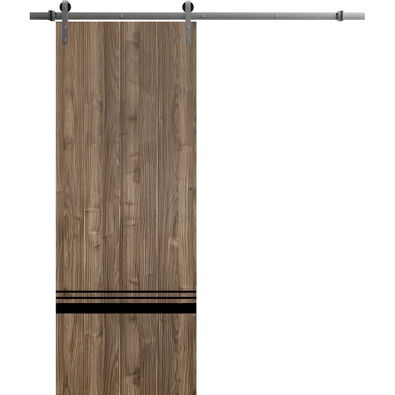 Sturdy Barn Door 36 x 96 inches | Planum 0012 Walnut with Frosted Glass | Stainless Steel 6.6FT Rail Hangers Heavy Set | Solid Panel Interior Doors