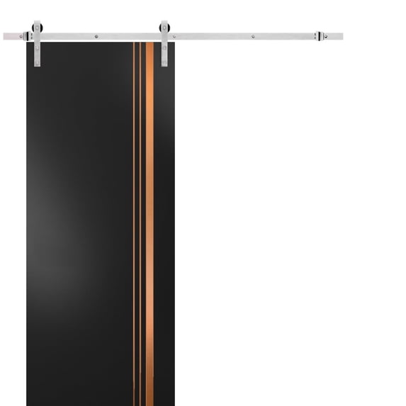 Sturdy Barn Door 36 x 96 inches | Planum 1010 Matte Black with Frosted Glass | Stainless Steel 6.6FT Rail Hangers Heavy Set | Solid Panel Interior Doors