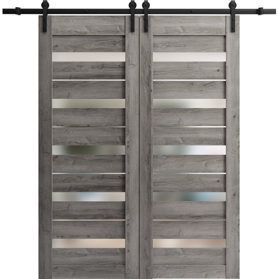 Sturdy Barn Door 42 x 84 inches | Lucia 2166 Matte Black Clear Glass | Stainless Steel 8FT Rail Hangers Heavy Set | Solid Panel Interior Doors