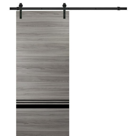 Sturdy Barn Door 42 x 84 inches | Planum 0012 Grey Matte with Frosted Glass | 8FT Rail Hangers Heavy Hardware Set | Solid Panel Interior Doors