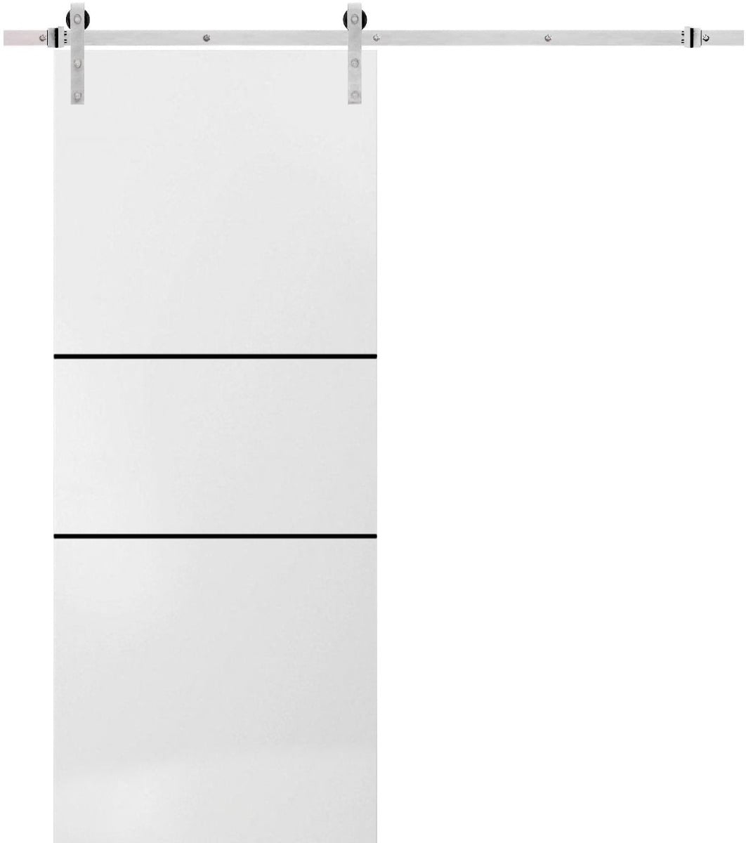 Sturdy Barn Door 42 x 84 inches Planum 0014 White Silk with Frosted