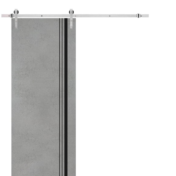 Sturdy Barn Door 42 x 96 inches | Planum 0011 Concrete with Frosted Glass | Stainless Steel 8FT Rail Hangers Heavy Set | Solid Panel Interior Doors