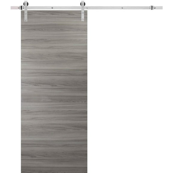 Sturdy Barn Door with Hardware | Planum 0010 Ginger Ash | 6.6FT Rail Hangers Heavy Set | Modern Solid Panel Interior Doors-24" x 84"-Silver Rail